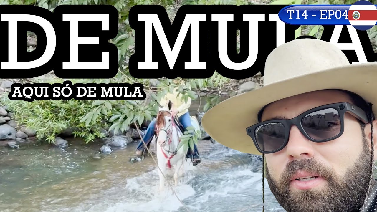 NO MEIO DA FLORESTA! SÓ DA PRA PASSAR DE MULA.
