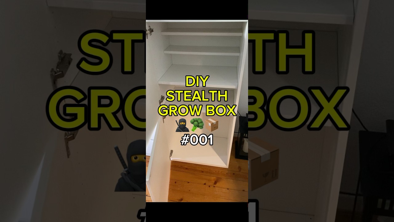 DIY Stealth Grow Box 🥷🥦📦 #growbox #grow #gardening #garden #diy #plants #germany