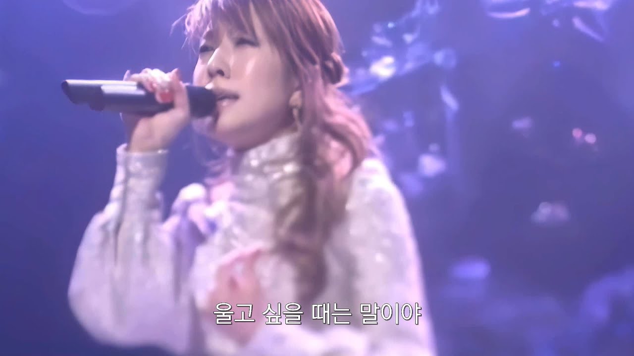 SHIDAX presents BoA 