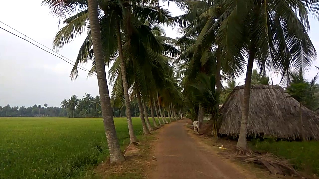 Nadipudi,  Amalapuram -  Our Beautiful Village