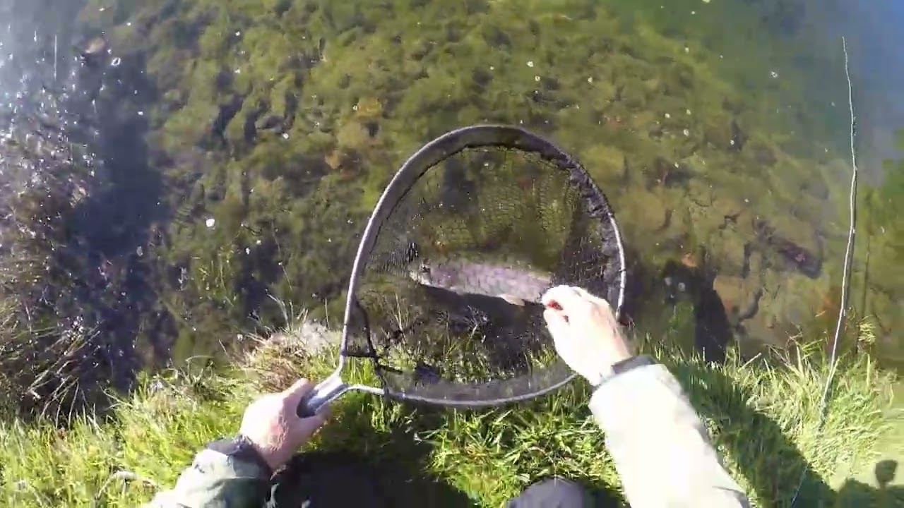Video #34 - Stalking Trout at Lochter Fishery 