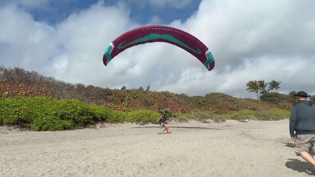 Daily Jupiter Beach Vibes 3/5/26 Things that Fly