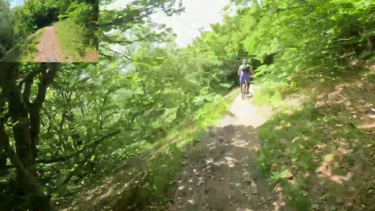 2025 06 26 Falco trail