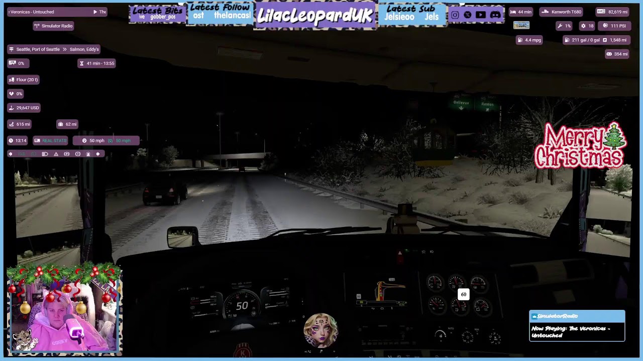 🐾🐆 ATS 🐆🐾Winter Mods ✨Chill Driving ✨Let's Drive 🐾 2025 Profile ✨ Simulator Radio✨