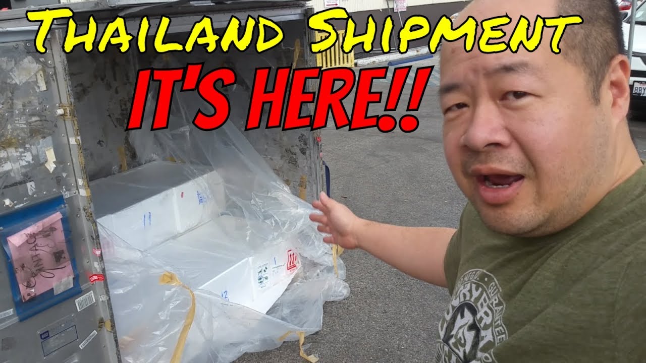 *IMPORT* and *UNBOXING* LIVE TROPICAL FISH from THAILAND - Part 1