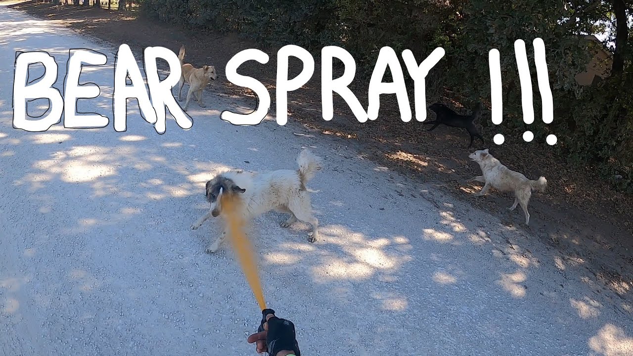 DOG ATTACK w/BIG TEX/Amputee Cyclist Aaron Smith/Bear Spray/Pepper Spray/Mace/pimienta/Self Defense