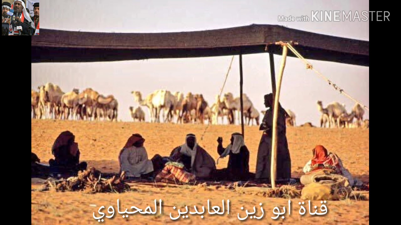 سالفة مملوحة تستحق المشاهدة 《 الشيخة تكليف مو تشريف 》 يرويها الشاعر ابو زين العابدين المحياوي