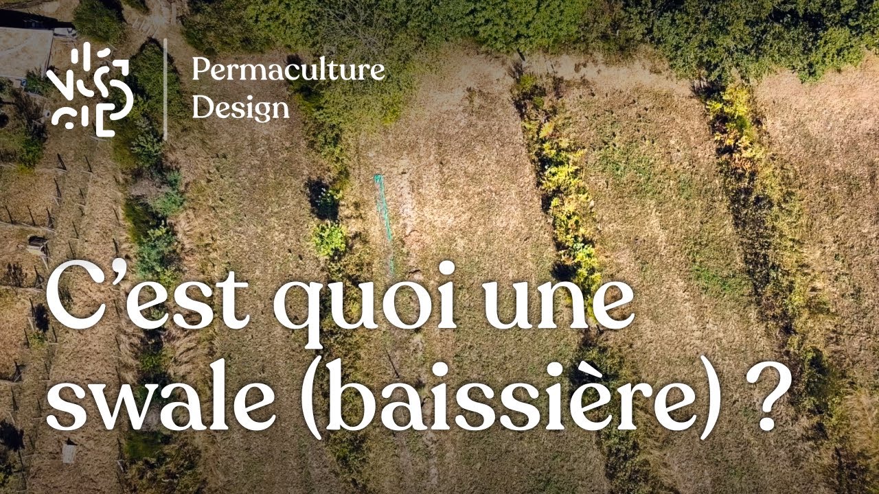 C’est quoi une swale (baissière) ?