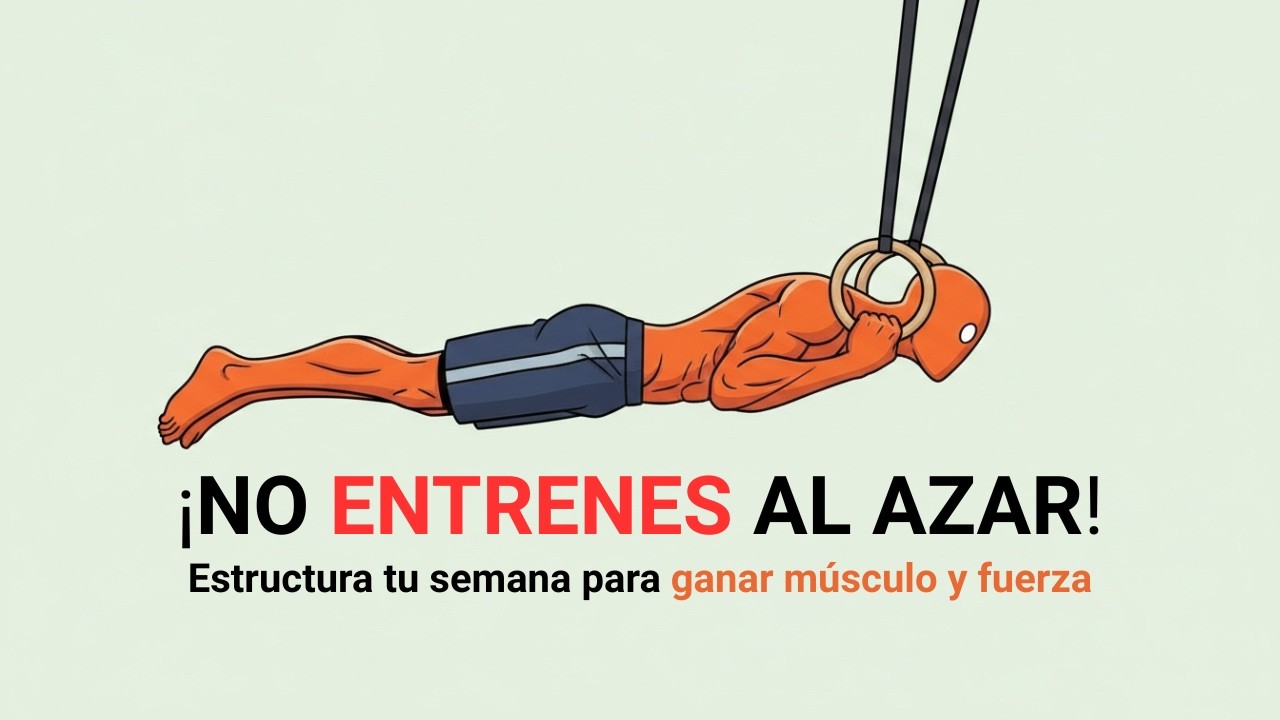 La PLANIFICACIÓN Definitiva de tu Semana en Calistenia (MAXIMIZA Tus Ganancias)