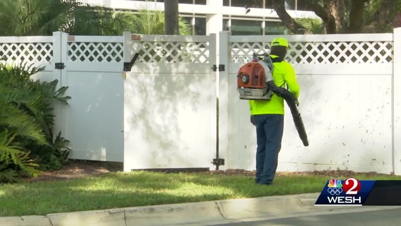 Leaf Blower Ban