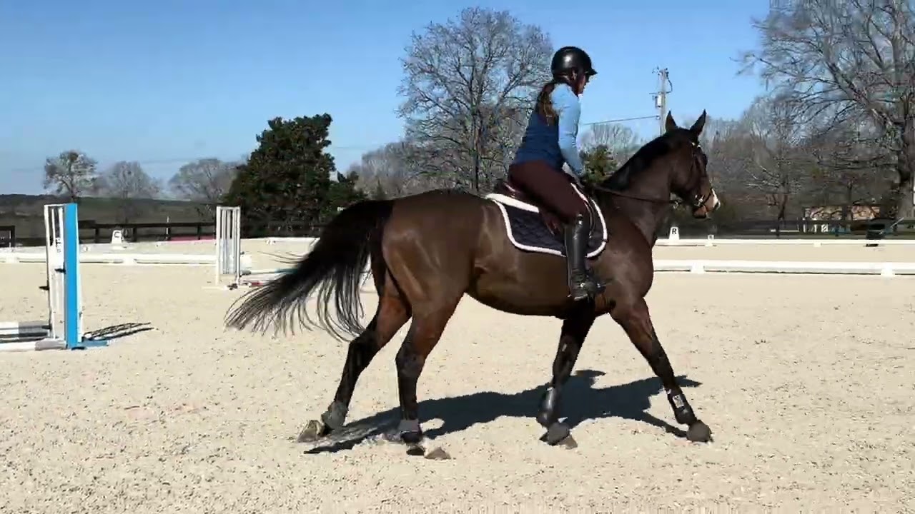 For Sale: JT jump school