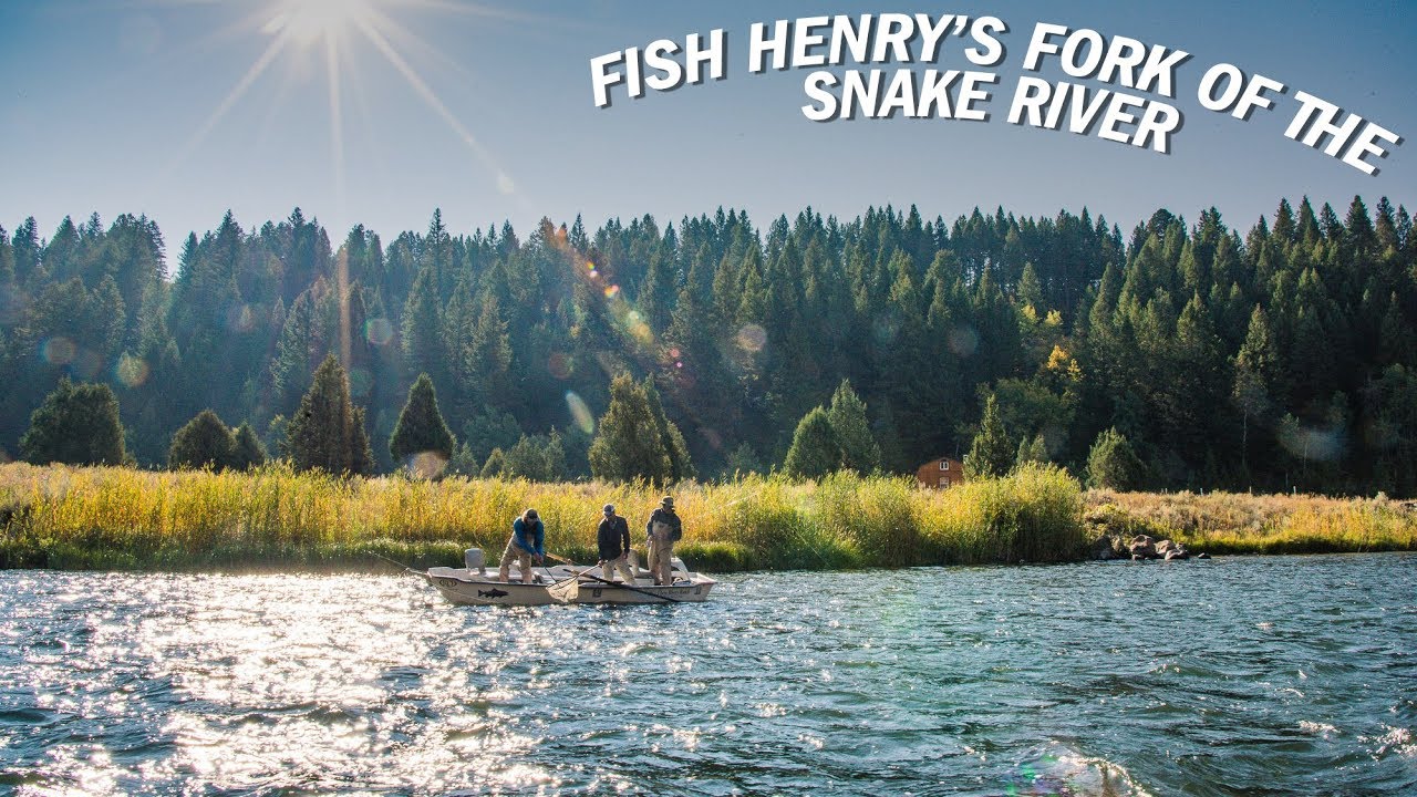 Fly Fishing Henry's Fork of the Snake River