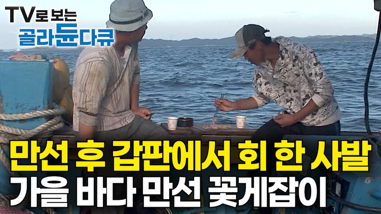 어부는 땀 흘린만큼 먹는다! 고등어 송송 썰어 통발 1,800개 바다에 뿌리고 꼬박 48시간 뒤｜만선 후 갑판에서 먹는 회 한 사발｜가을 바다 만선 꽃게잡이｜극한직업｜#골라듄다큐
