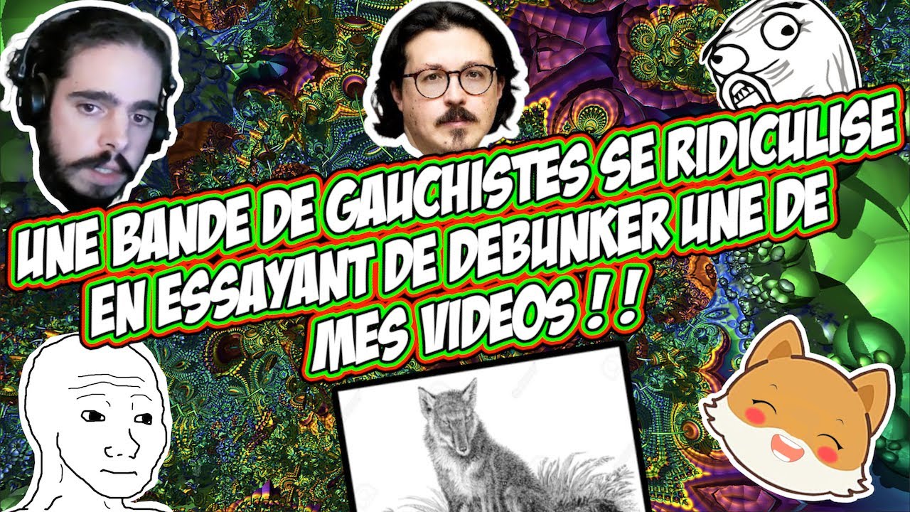 CE GAUCHlSTE SE RlDlCULlSE EN ESSAYANT DE ME DÉBUNKER