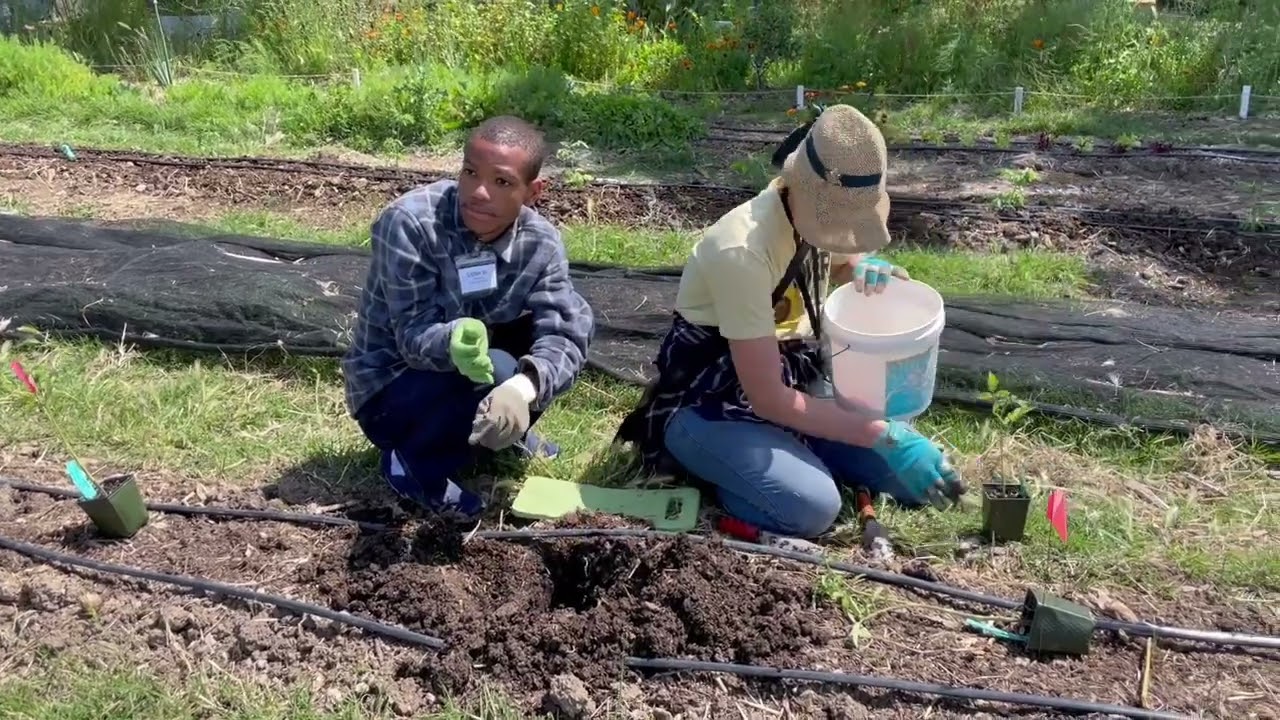 Tomato Time! | Explore What's Growing On In Garden Update (May 2022)