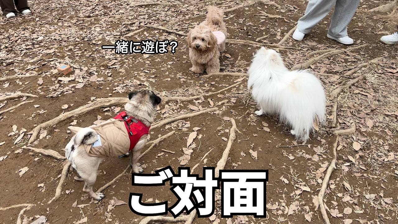 長野旅行に行ったら友達ができました