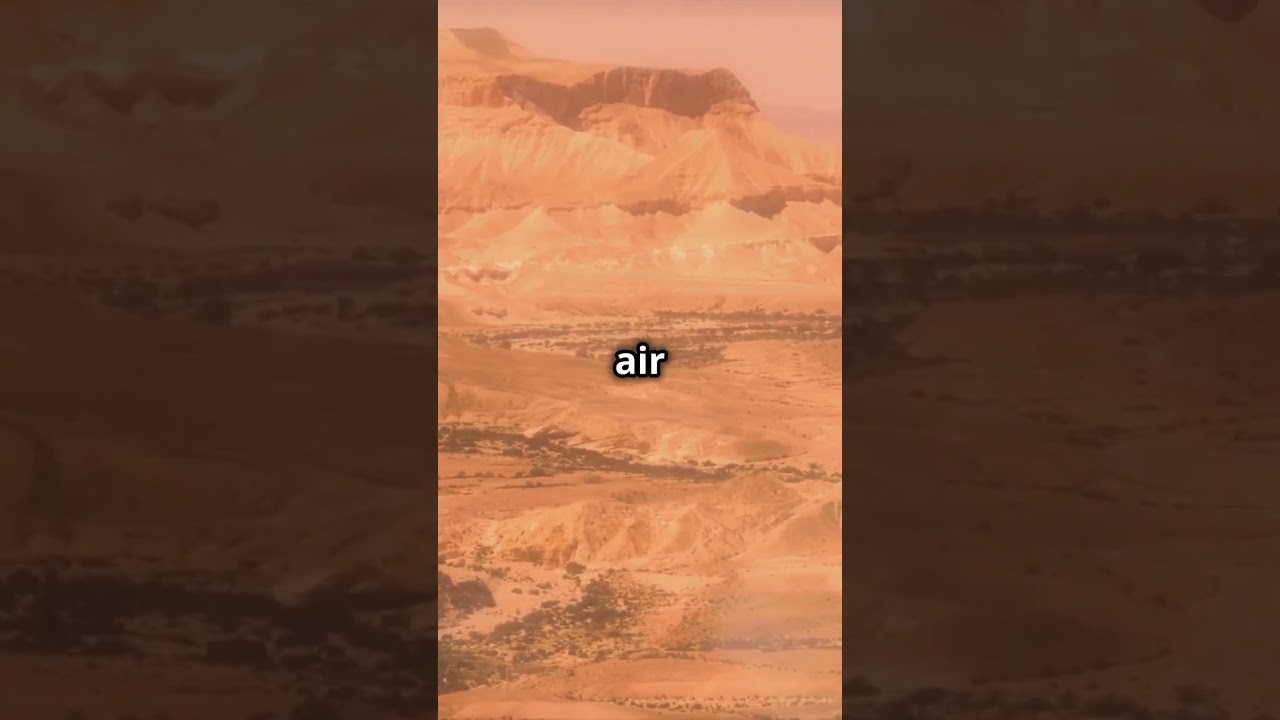 Starships: The Future of Air Travel in Just an Hour! #foryou #science #automobile #viralvideo #fyp