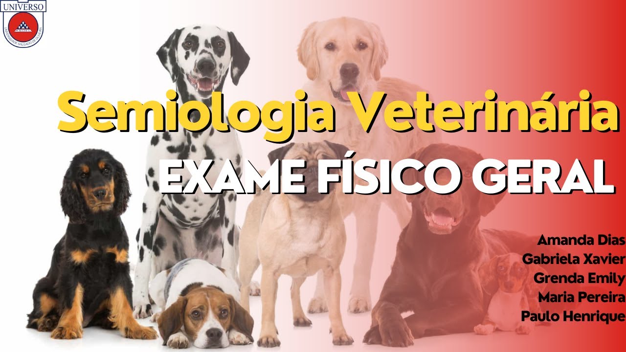 EXAME FÍSICO GERAL EM CÃES - SEMIOLOGIA VETERINÁRIA