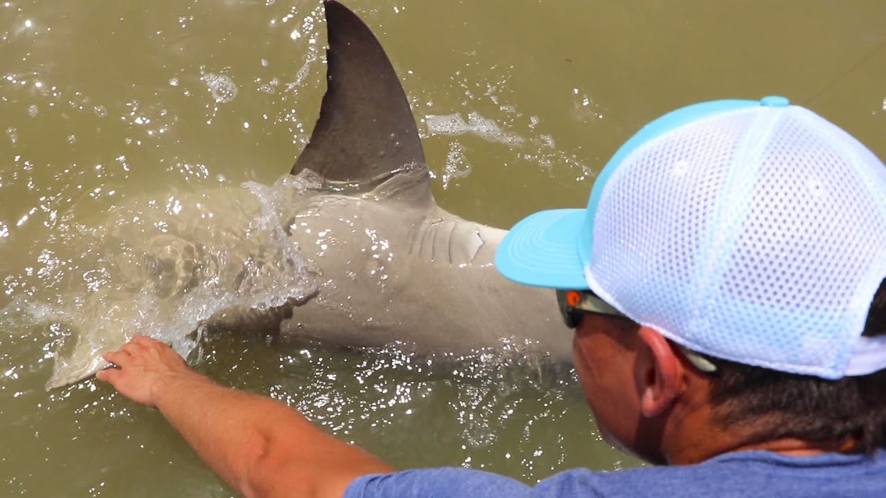 JAWS VS Fisherman!! Shark Bites at Fisherman!