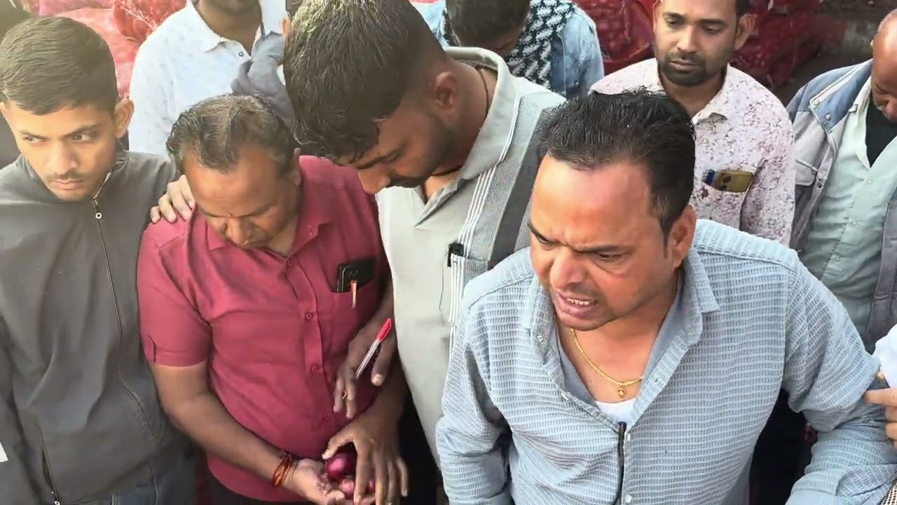 25/02/26 मंडी भाव शाजापुर | mandi bhaw shajapur