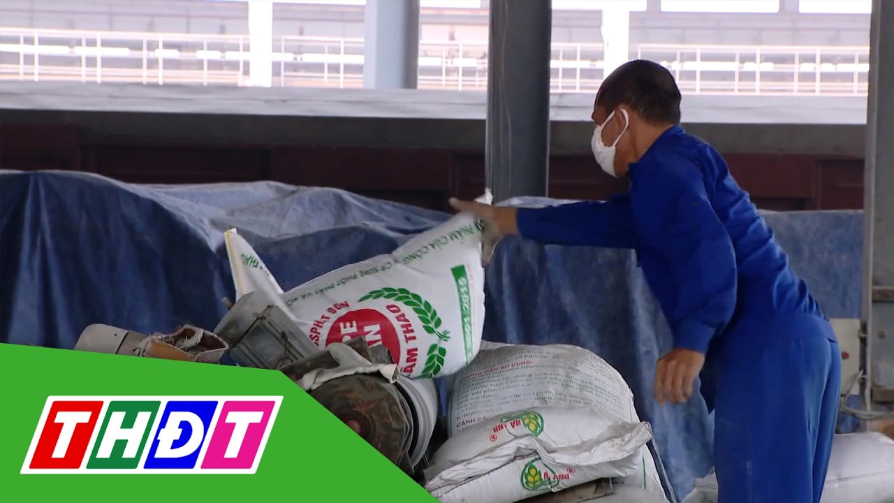 Giá phân bón tăng áp sát mức đỉnh đợt dịch Covid-19 | THDT