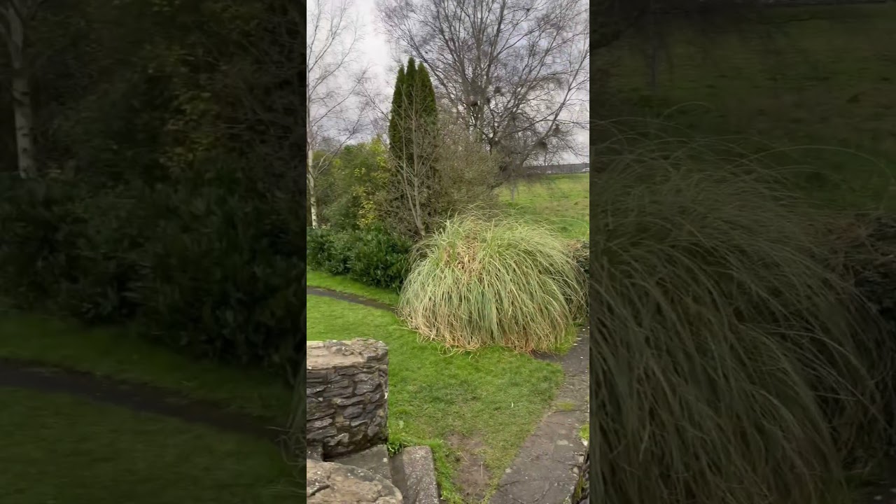 Beautiful Naas.. County Kildare..#Kildare #county #ireland #morningvibes #park