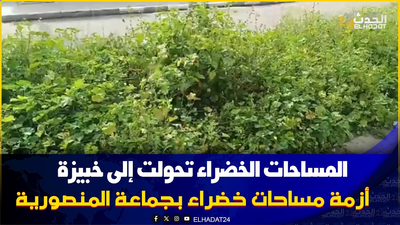 الخبيزة واصل طول ديالها متر فين هي المصلحة المكلفة بالمساحات الخضراء واش هادشي لي يستاهلوا الساكنة