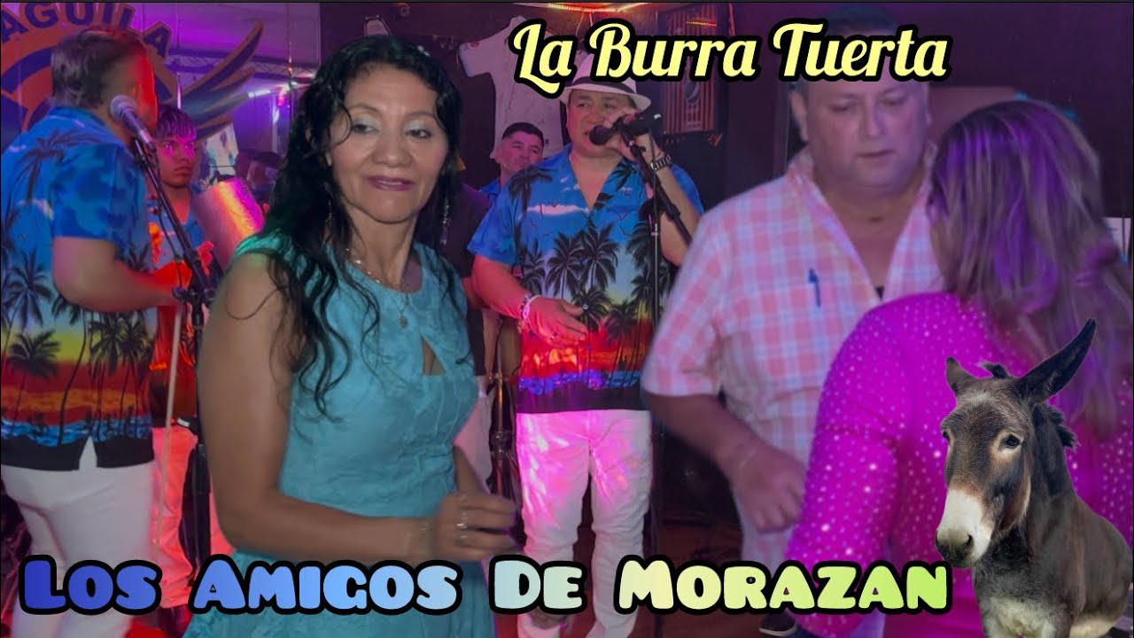 🎶La Burra 🫏 Tuerta 🥁y Los Gorrones 🎻Mix Los Amigos De Morazán #fannytorres 🎥
