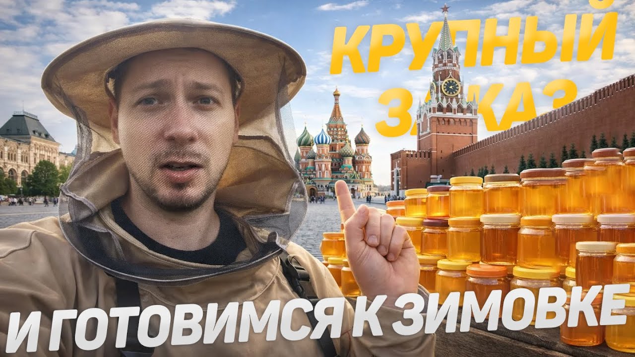 Наш мёд уже в Москве/взяли тачку для села/сокращаем пасеку/перенесли пчёл в зимовник