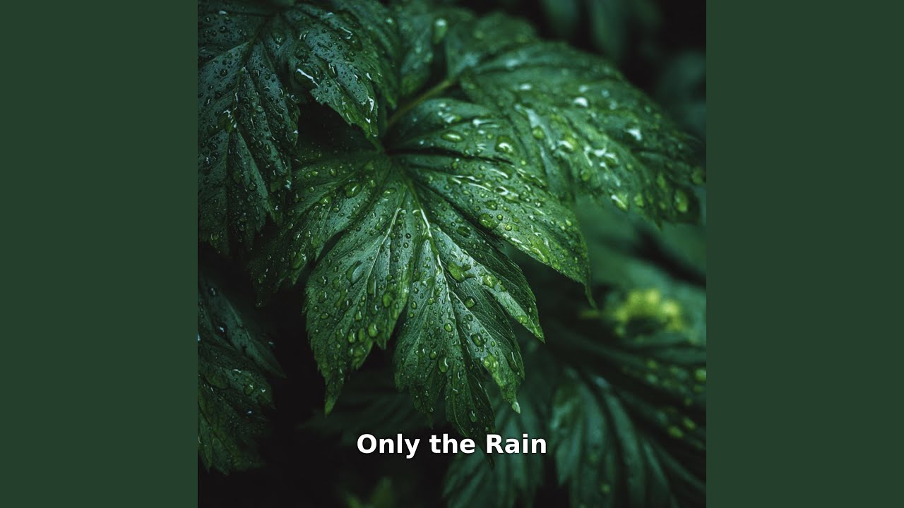 Only Rain in the Silence, Pt.11