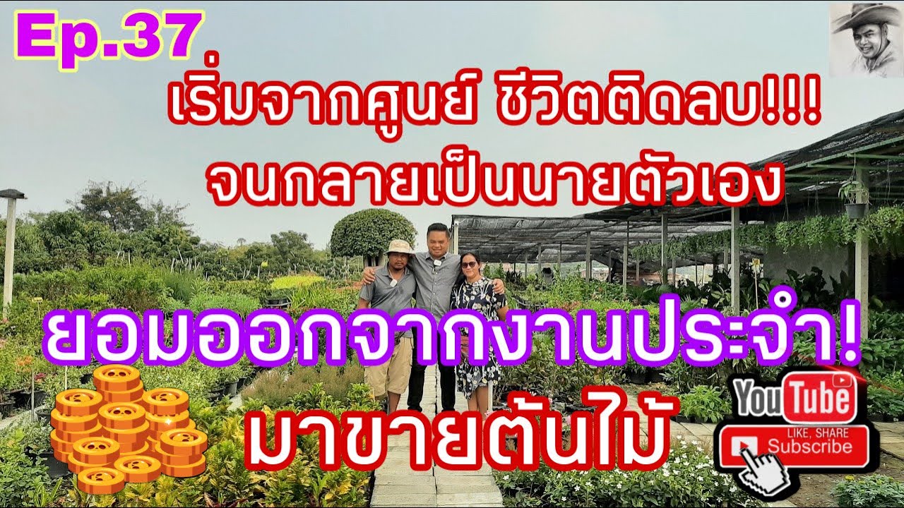 Ep.37 เริ่มจากศูนย์!!! ออกจากงานประจำ มาขายต้นไม้...รายได้เดือนนึงเป็นแสน!!!