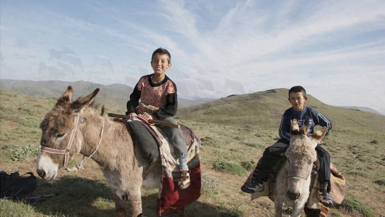 Yağmurlu Büyükoba Kırşehir  2012