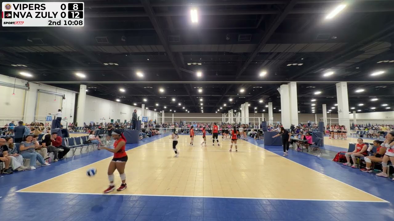Vipers 2nd Set 