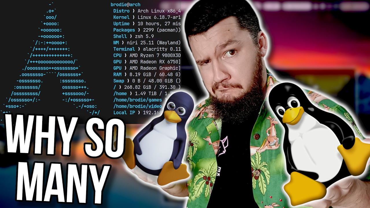 The Humble Linux Fetch Application