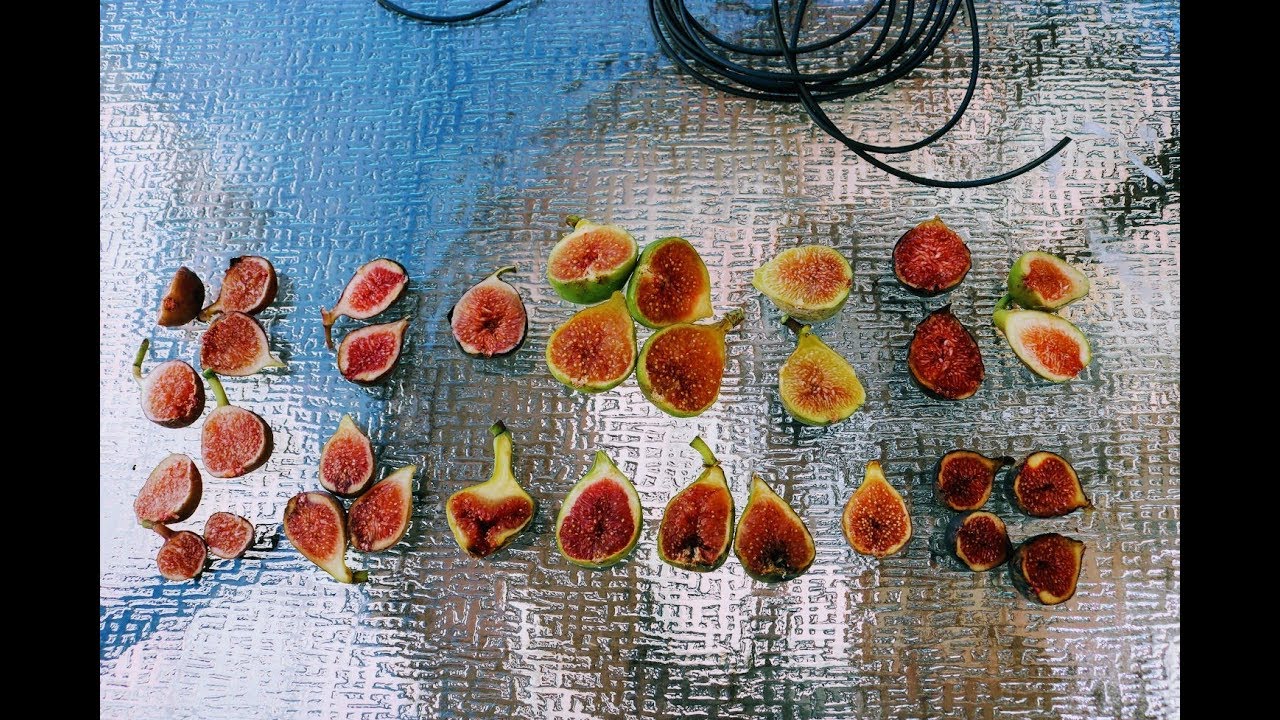 Which Fig Varieties are Making the Cut?