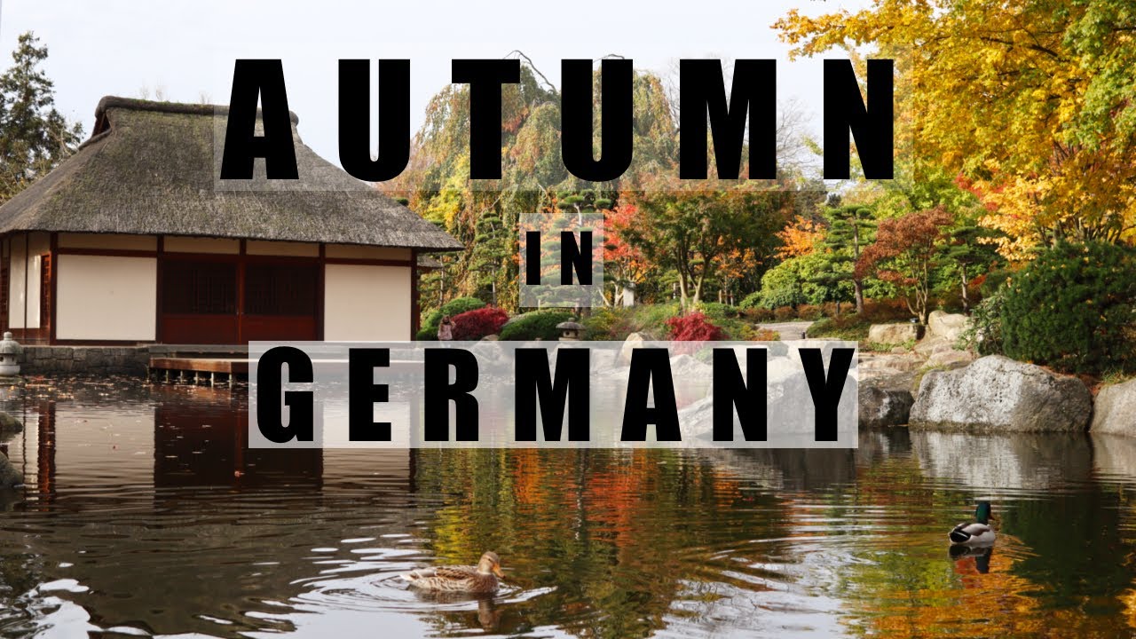 Why leaves change colors in Autumn? Vlog in Germany. Indian in Germany