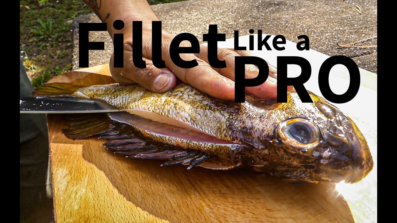 How to Sharpen Knives and PROPERLY Fillet Fish for BEST RESULT!!