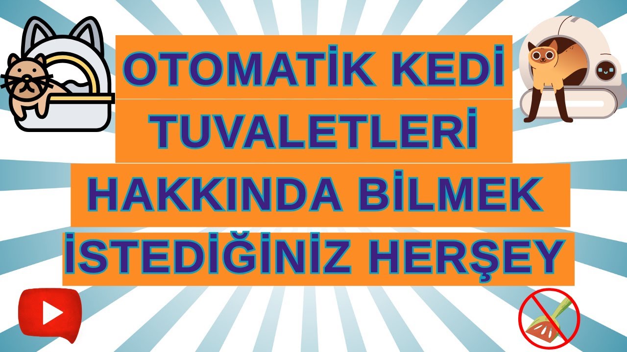 Otomatik Kedi Tuvaletleri Hakkında Bilmek İstediğiniz Herşey! 