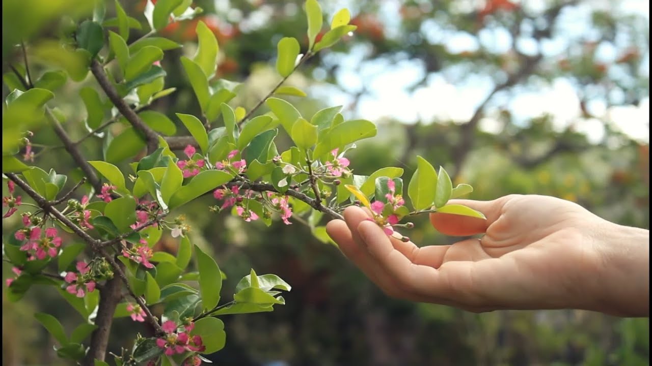 Romantic Music | Giovanni | And I Love You So