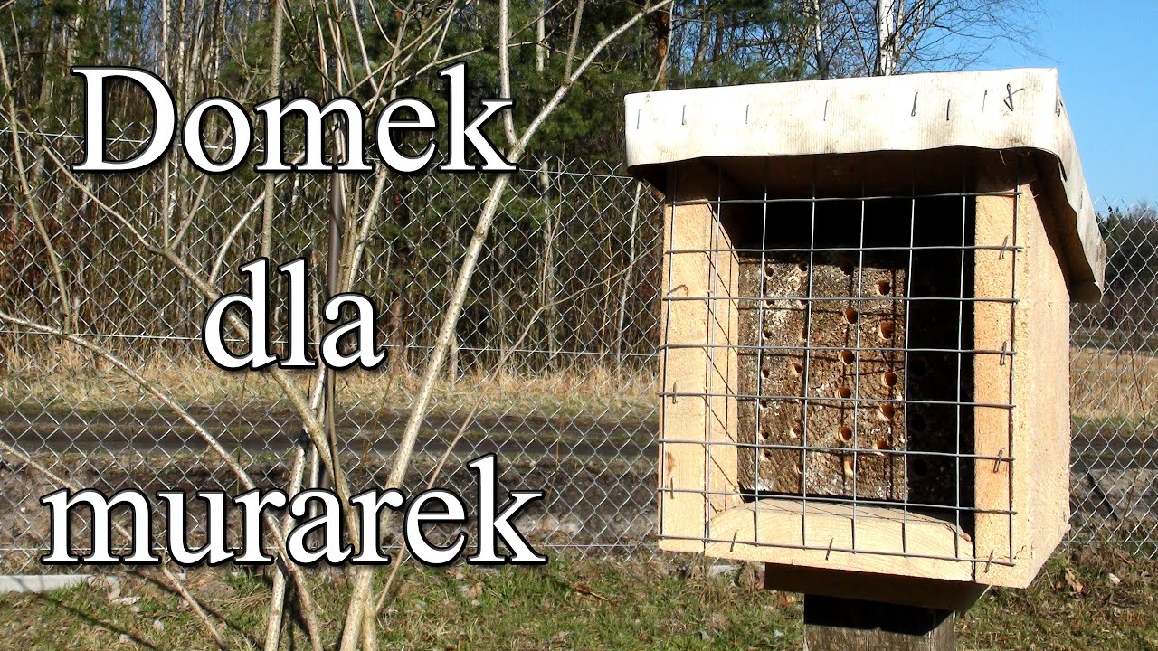 Domek dla murarek - mały i drewniany