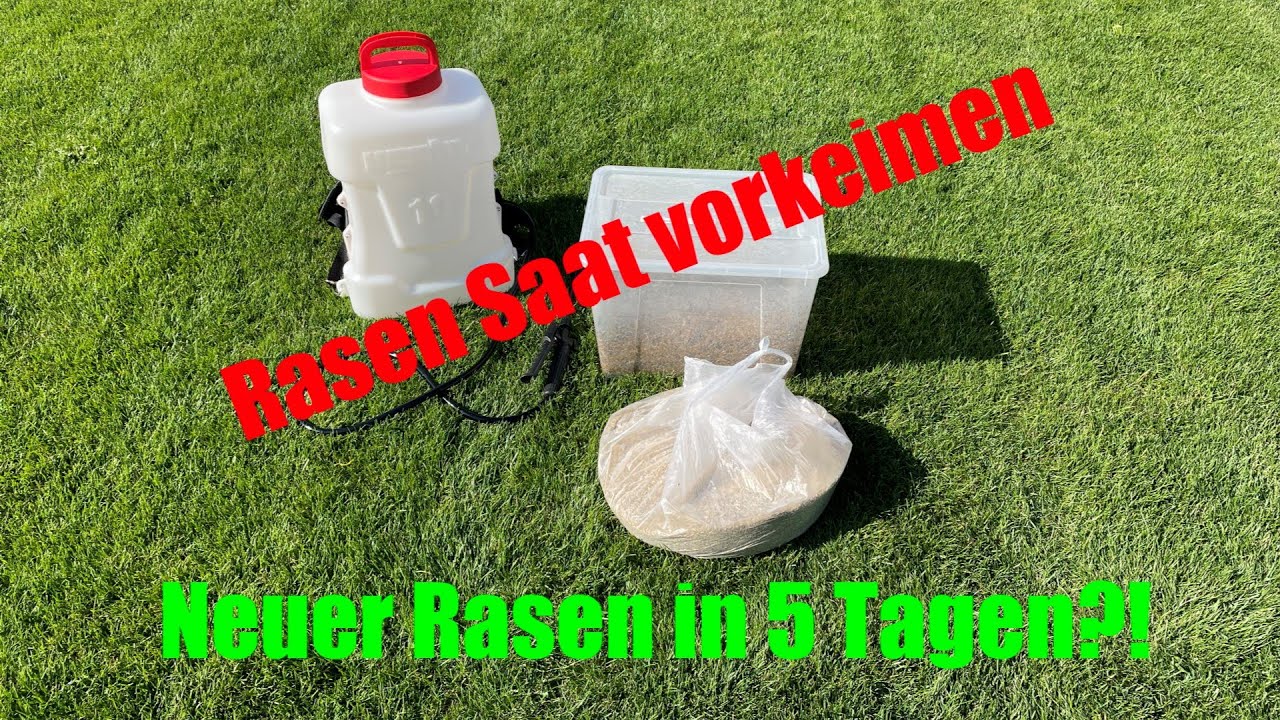 Rasen vorkeimen - L&uuml;cken in wenigen Tagen ausbessern Teil 1