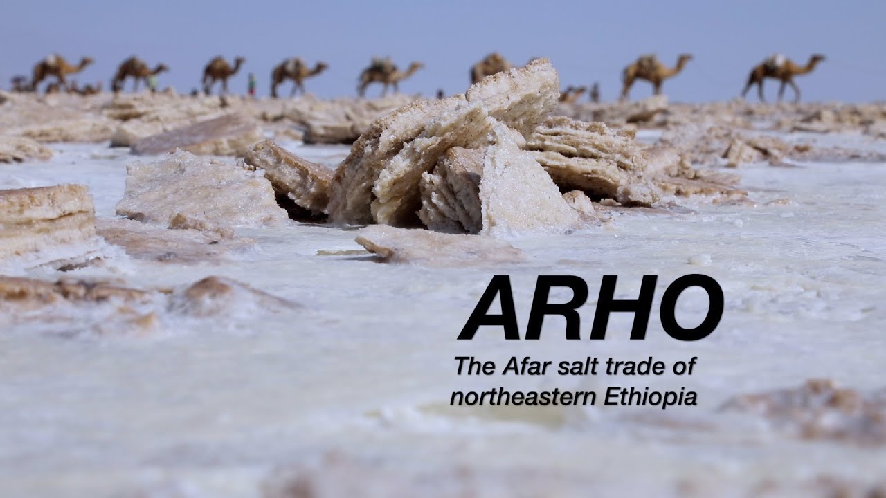 Arho   The Afar Salt Trade of Northeastern Ethiopia