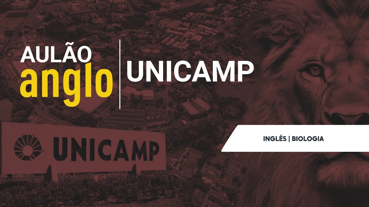 Revisão Aberta Unicamp - Dia 4