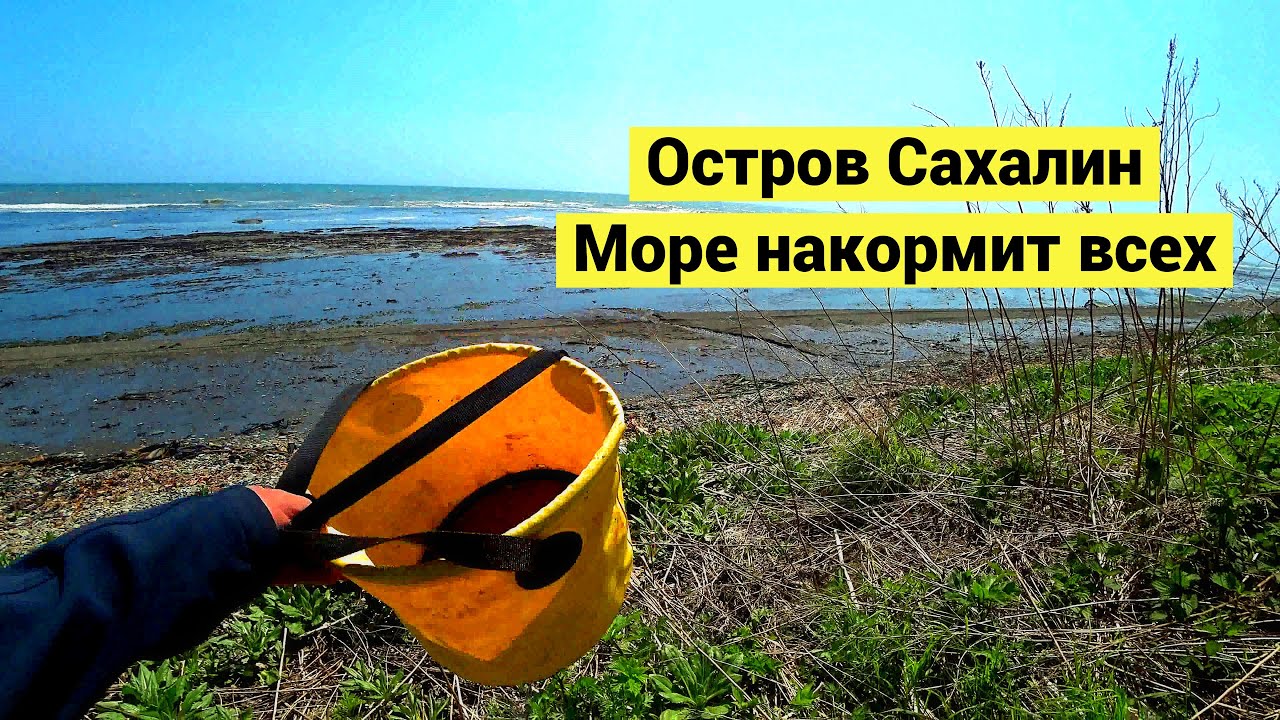 Остров Сахалин. Море накормит всех // Sakhalin island. The sea feeds everyone (Eng Subs)