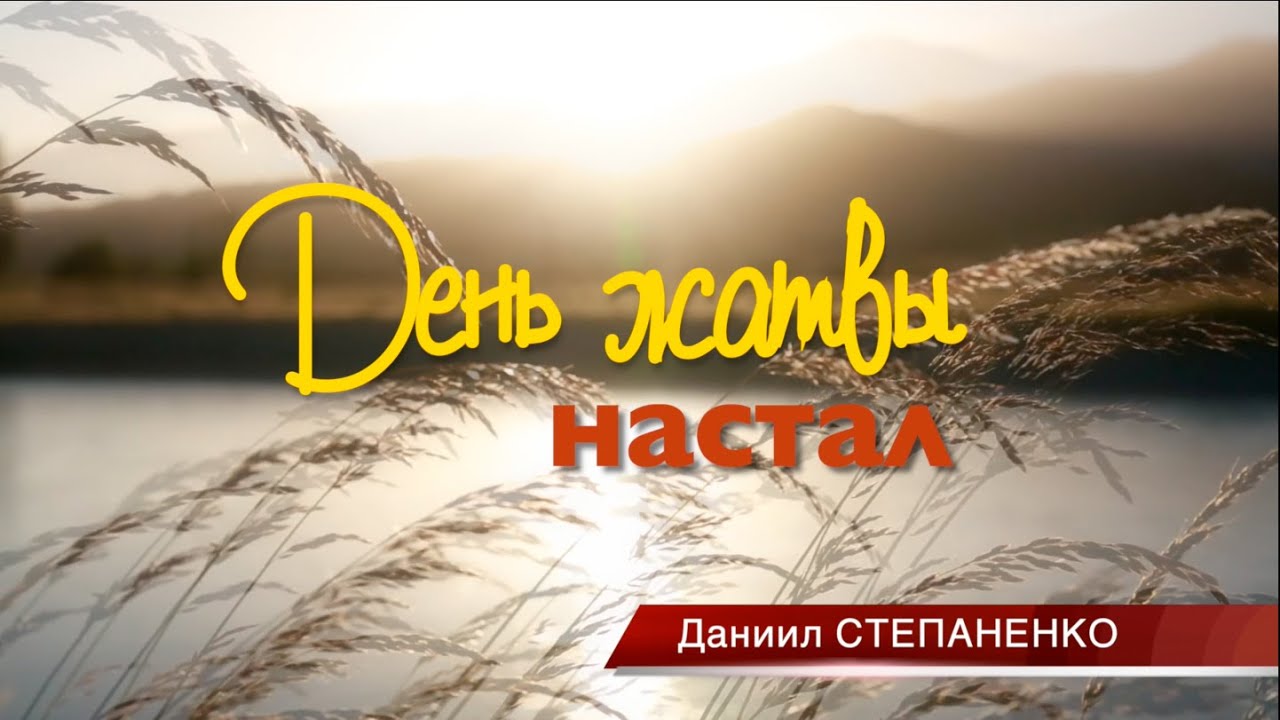 День Жатвы / Христианская песня / Степаненко Даниил