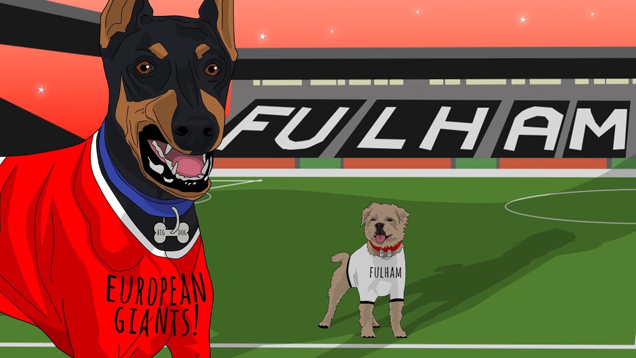 When Underdogs Fulham Nearly Won The Europa League
