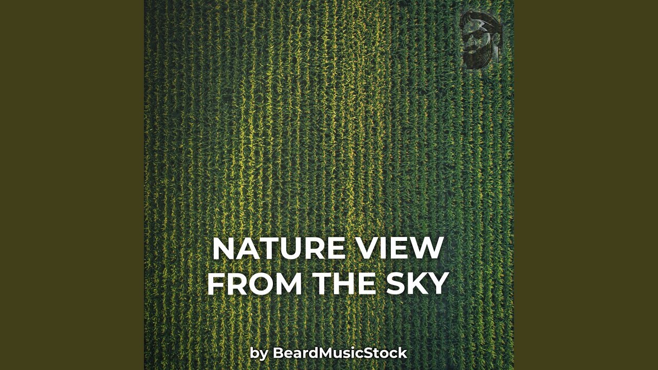 Nature View From The Sky