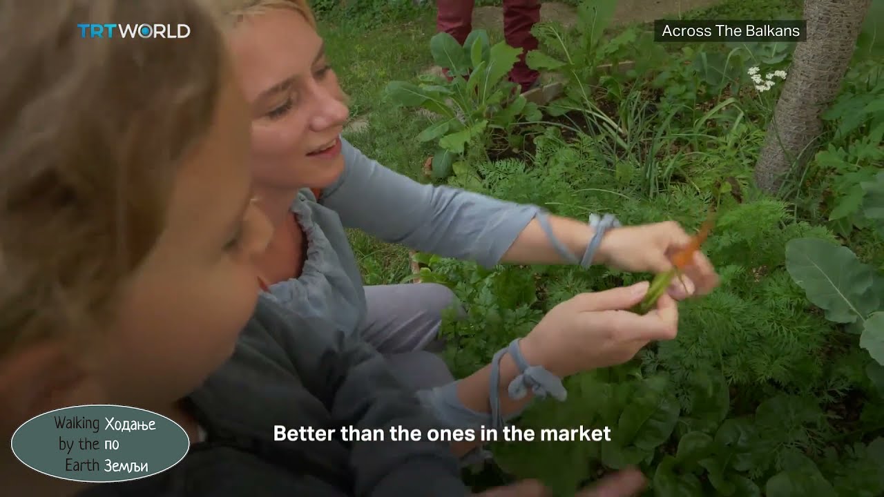 Walking by the Earth at world news- Across The Balkans- Cancer  Serbias Waste Crisis- 1080p