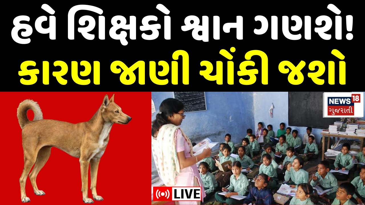 🟠Gujarat Teacher Counting Stray Dogs LIVE | શિક્ષકોને કેમ સોંપાયું શ્વાન ગણવાનું કામ? | Controversy