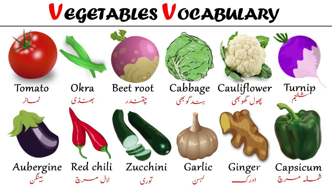 VEGETABLES | learn vegetables names in English with Urdu/Hindi